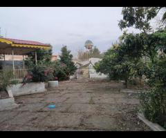 ویلا باغ قدیمی 1100 متری در روستای لاله دشت کوچصفهان - تصویر 4