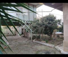 ویلا باغ قدیمی 1100 متری در روستای لاله دشت کوچصفهان - تصویر 8