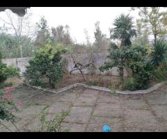 ویلا باغ قدیمی 1100 متری در روستای لاله دشت کوچصفهان - تصویر 15