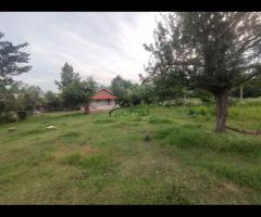 فروش 2500 متر زمین با کاربری مسکونی و باغی در روستای لسکو لشت نشا - تصویر 3