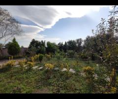 ویلا باغ 1400متری ، با کلی درختان میوه و محوطه سازی شده در شهر لولمان - تصویر 7